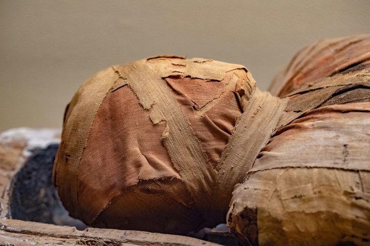 A close-up of an Egyptian mummy head