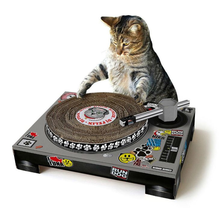 A cat uses the DJ Cat scratching pad
