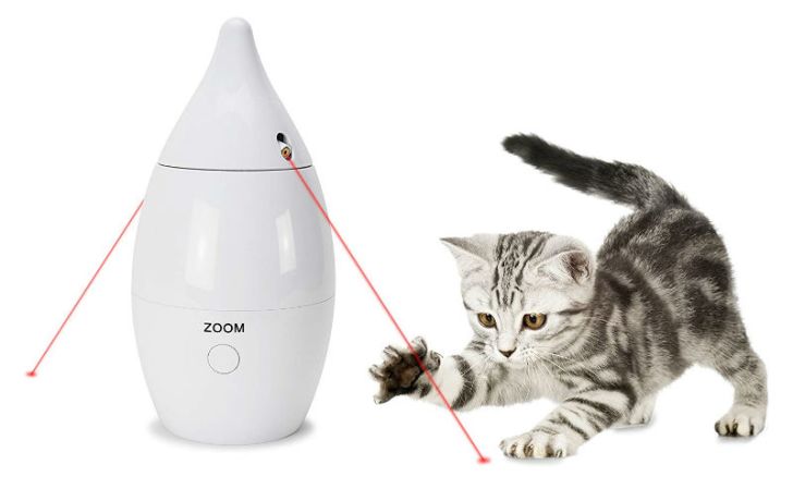 A cat plays with the PetSafe Zoom laser cat toy
