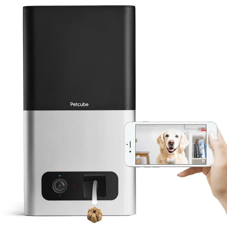 A look at the Petcube Bites pet camera with treat dispenser