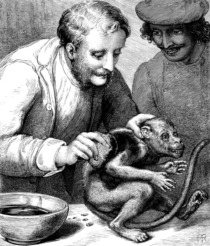 Victorian men giving a monkey a bath