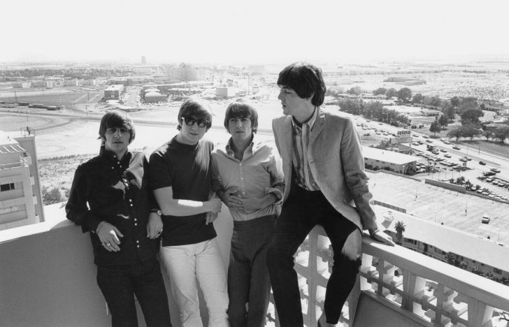 image of the Beatles (the musical group, not the insect)