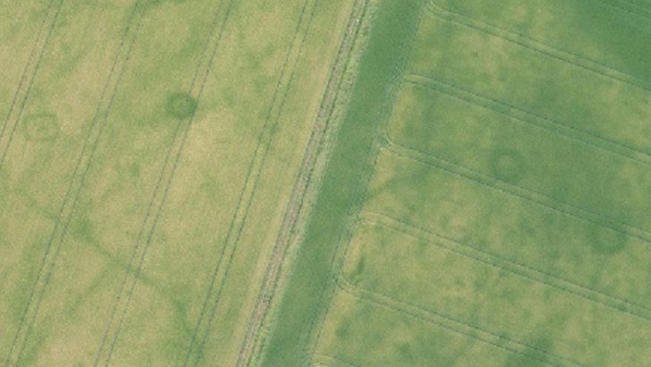 Aerial view of field.