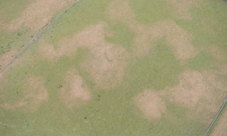 Aerial view of field.