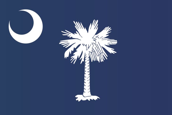 South Carolina flag