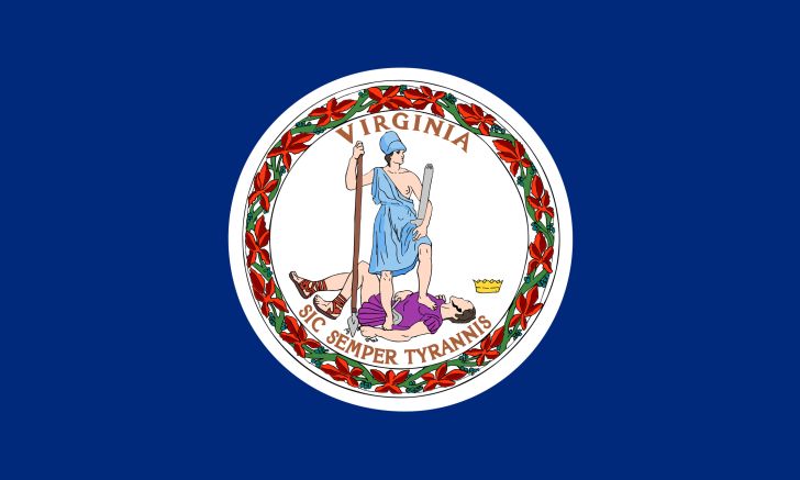 Virginia state flag