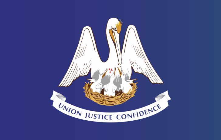 Louisiana flag
