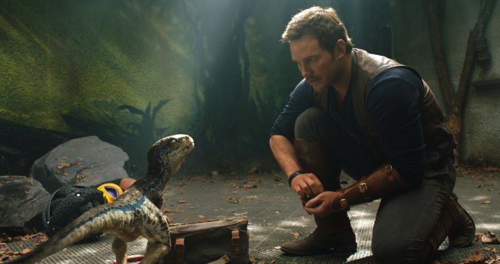 Chris Pratt with a baby Velociraptor in 'Jurassic World: Fallen Kingdom' (2018)