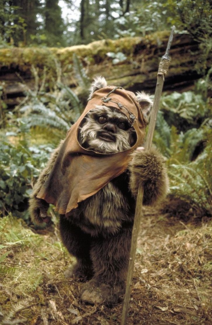 Warwick Davis in 'Return of the Jedi' (1983)