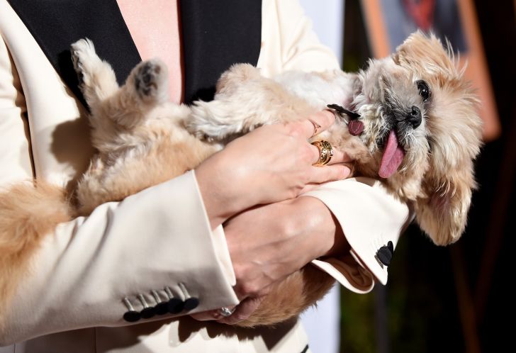 Person holding Marnie the dog.