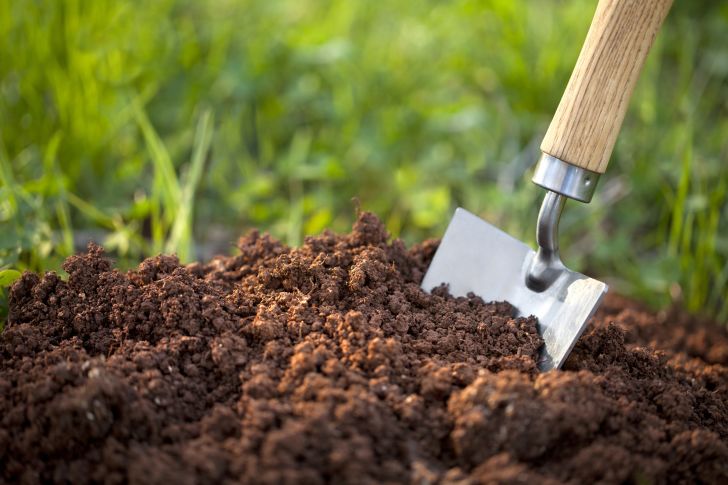 Shoveling soil