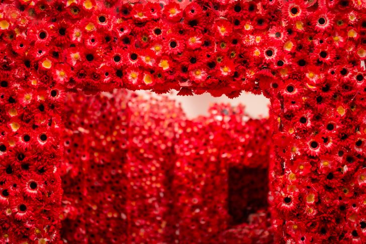 A doorway covered in flowers