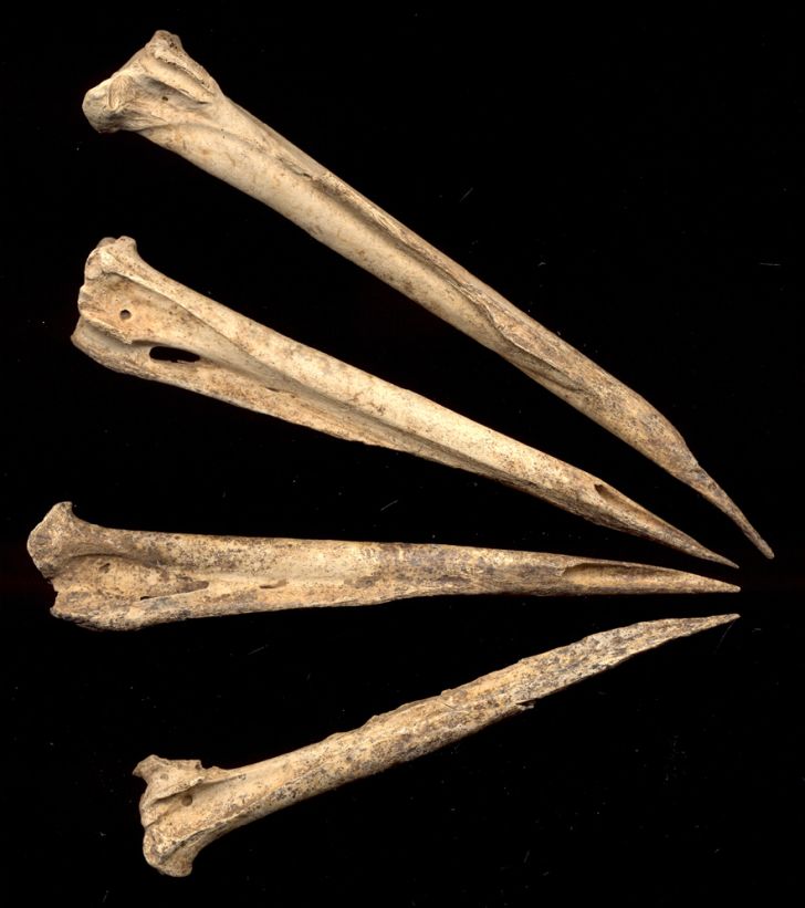 3600 year old tattoo needles