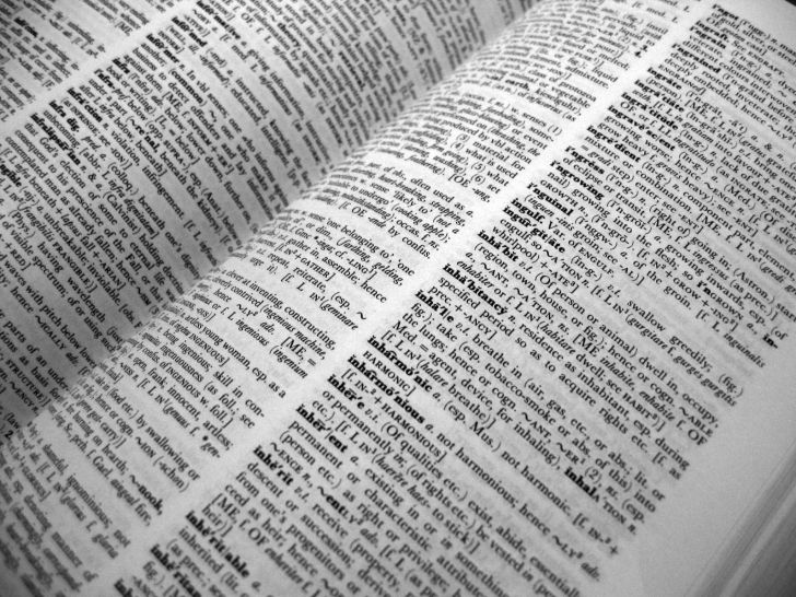 pages of a dictionary