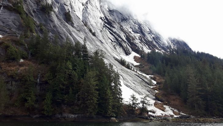 Rock face of a fjord near Klemtu, British Columbia Rock face of a fjord near Klemtu, British Columbia