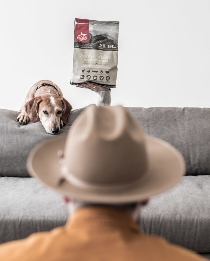 Person with hat taking photo of dog and dog food.
