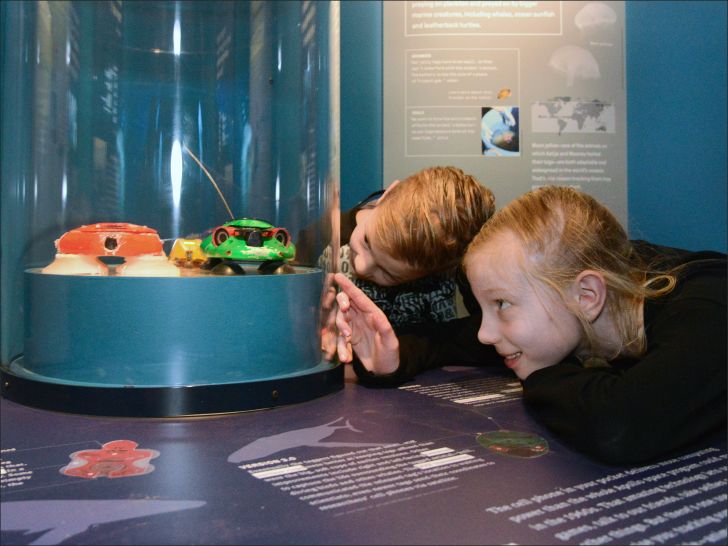 Kids looking at museum exhibit.