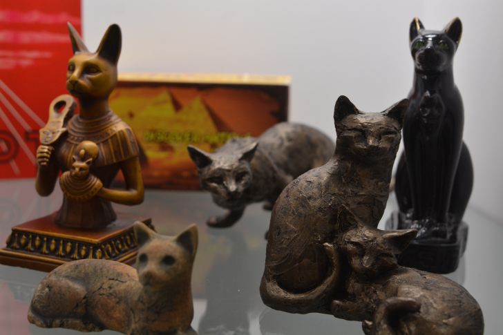 Artifacts at the American Museum of the House Cat