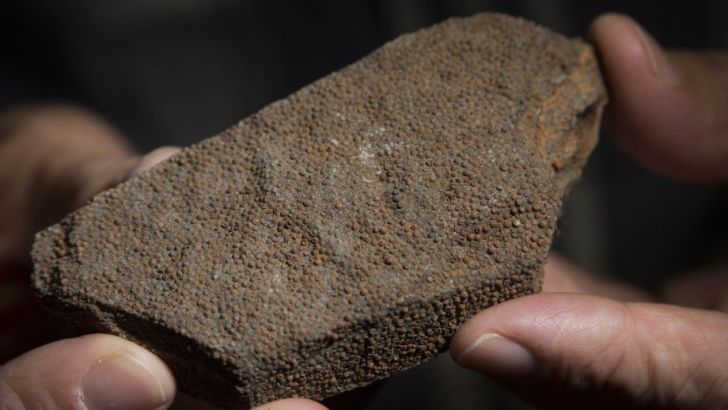 A hand holding a chunk of oolite limestone