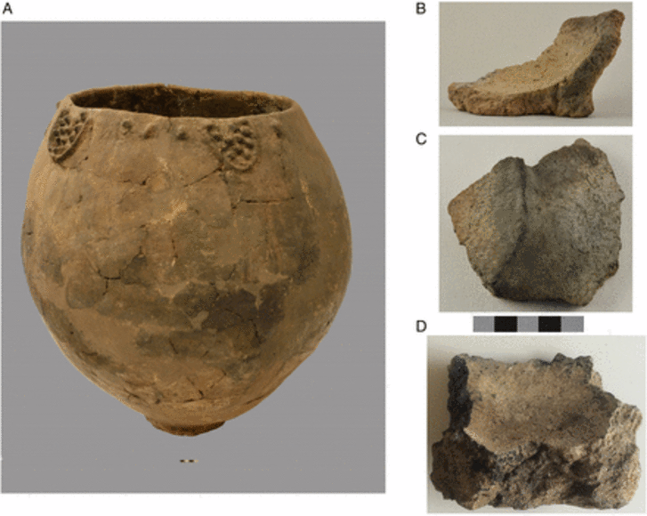 Remains of ancient Georgian pottery vessels that may have once contained wine, photographed by Mindia Jalabadze.