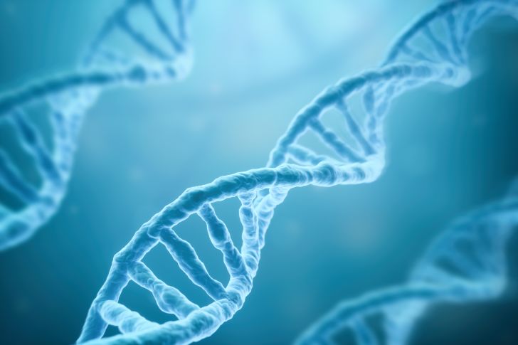 Double helix of DNA