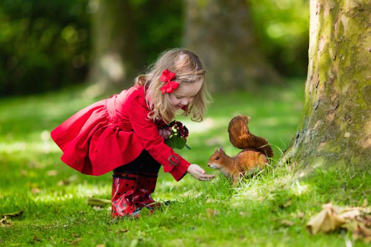 Photo of a little girl feeding a squirrel