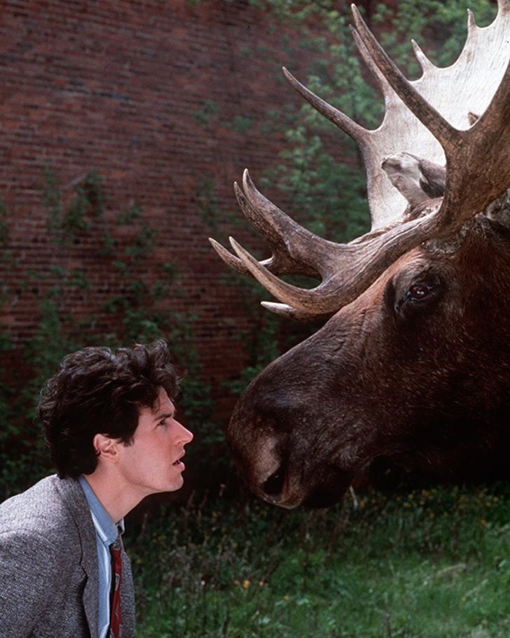 Rob Morrow and Morty the Moose in 'Northern Exposure'