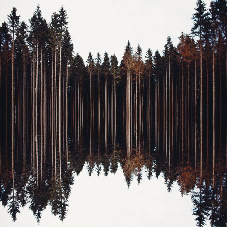 German photography community EyeEm has announced 100 finalists for their 2017 photo contest, including 20 shots of the great outdoors.