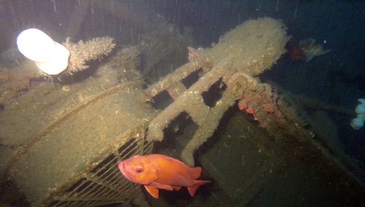 Wreckage of the USCGC McCulloch, which sunk 100 years ago on June 13, 1917.