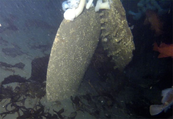 Wreckage of the USCGC McCulloch, which sunk 100 years ago on June 13, 1917.