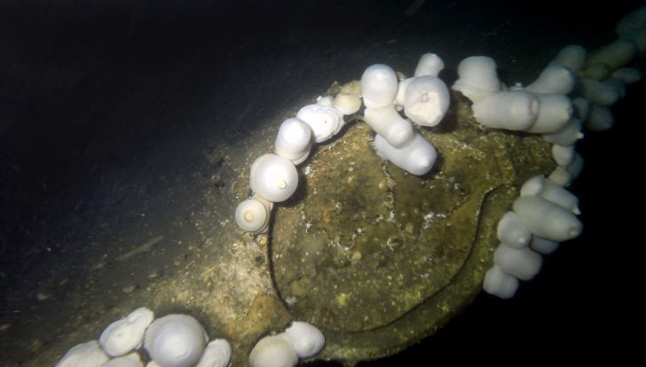 Wreckage of the USCGC McCulloch, which sunk 100 years ago on June 13, 1917.