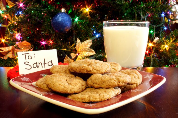 A photo of milk and cookies left for Santa Claus